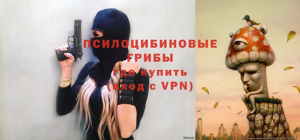 МДПВ Нефтегорск