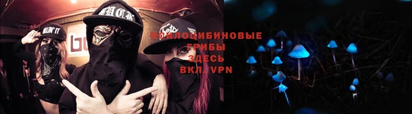 хмурый Новодвинск